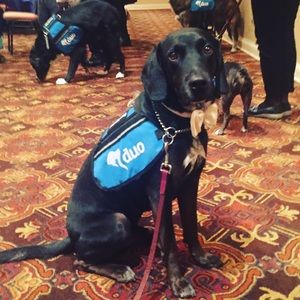 Meet your Posher, Casey